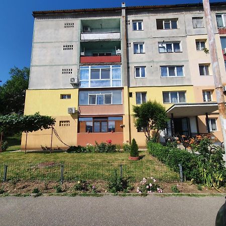 Guesthouse Mili Orşova エクステリア 写真
