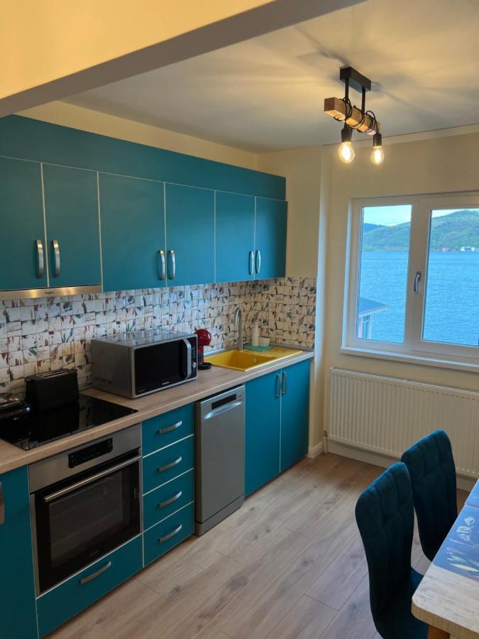 Guesthouse Mili Orşova エクステリア 写真