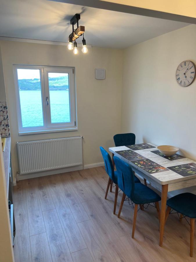 Guesthouse Mili Orşova エクステリア 写真